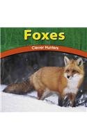 Foxes: Clever Hunters (Wild World of Animals)