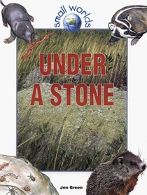 Under a Stone (Small Worlds (New York, N.Y.).)