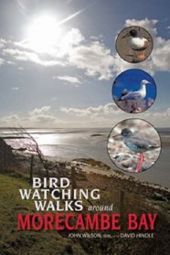 Birdwatching Walks Around Morecambe Bay