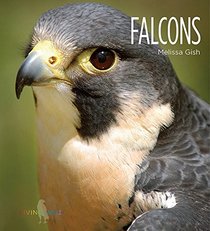 Falcons: Living Wild