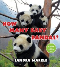 How Many Baby Pandas?