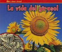 La vida del girasol (The Life of a Sunflower) (Mira Como Crece!) (Spanish Edition)