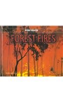 Forest Fires (Natural Disasters)