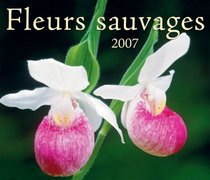 Fleurs sauvages 2007