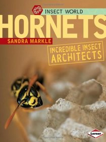Hornets: Incredible Insect Architects (Insect World)