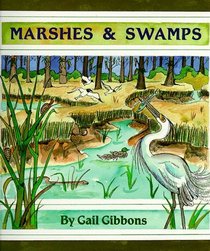 Marshes  Swamps