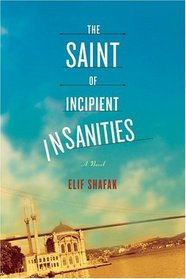 The Saint of Incipient Insanities : A Novel