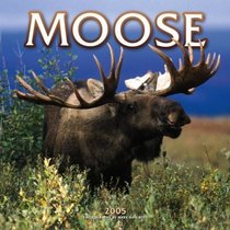 Moose 2005 Wall Calendar