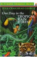 One Day in the Tropical Rainforest (One Day Chapter Books)