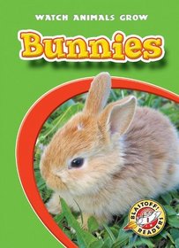 Bunnies (Paperback)(Blastoff! Readers)