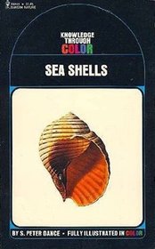 Sea Shells