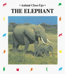 The Elephant (Animal Close-Ups)