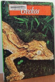 Geckos (Exotic Lizards)