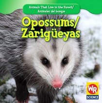 Opossums/ Zarigueyas (Animals That Live in the Forest/Animales Del Bosque)