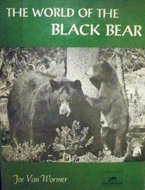 World of the Black Bear