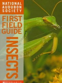 Insects (National Audubon Society First Field Guides)