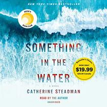 Something in the Water: A Novel