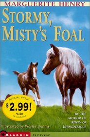 Stormy, Misty's Foal Kidspicks 2001
