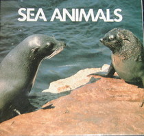 Sea Animals (Animal Information)