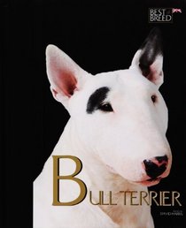 Bull Terrier (Best of Breed)