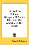 Life And Her Children: Glimpses Of Animal Life From The Amoeba To The Insects