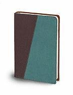 The Message Compact Bible Teal and Brown Python
