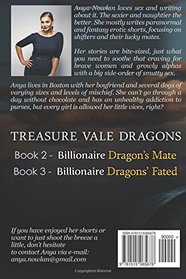 Billionaire Dragon's Bride (Treasure Vale Dragons) (Volume 1)