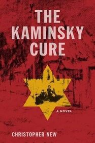 The Kaminsky Cure