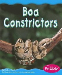 Boa Constrictors (Rain Forest Animals)