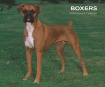 Boxers 2007 Calendar [BOX SET]