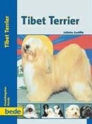 Tibet Terrier.