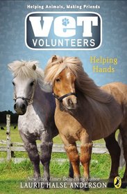 Vet Volunteers 15 Helping Hands