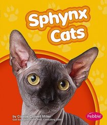 Sphynx Cats (Pebble Books)