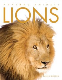 Amazing Animals: Lions
