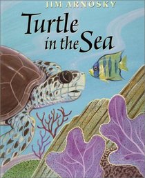 Turtle In The Sea