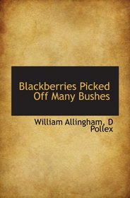 Blackberries Picked Off Many Bushes