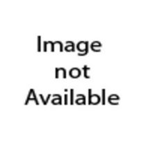 The Wedding (Lost American Fiction)