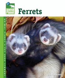 Ferrets (Animal Planet Pet Care Library)