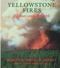 Yellowstone Fires: Flames and Rebirth