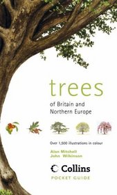 Trees of Britain  Northern Europe