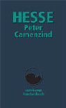 Peter Camenzind. Sonderausgabe.