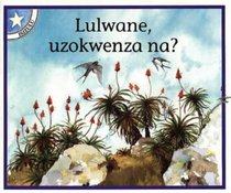 Lulwane, Uzokwenza Na?: Gr 1: Reader (Children's Stories) (Zulu Edition)