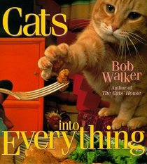 Cats into Everything