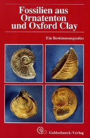 Fossilien aus Ornatenton und Oxford Clay.