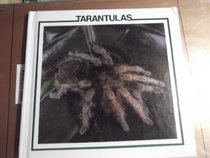 Tarantulas