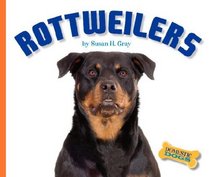 Rottweilers (Domestic Dogs)