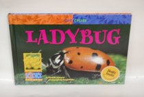Ladybug (Life Cycles)