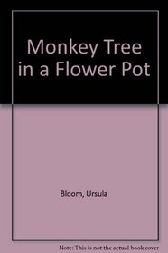 Monkey Tree in a Flower Pot