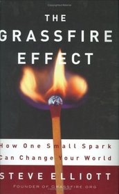 The Grassfire Effect: How One Small Spark Can Change Your World