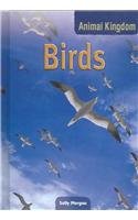 Birds (Animal Kingdom)